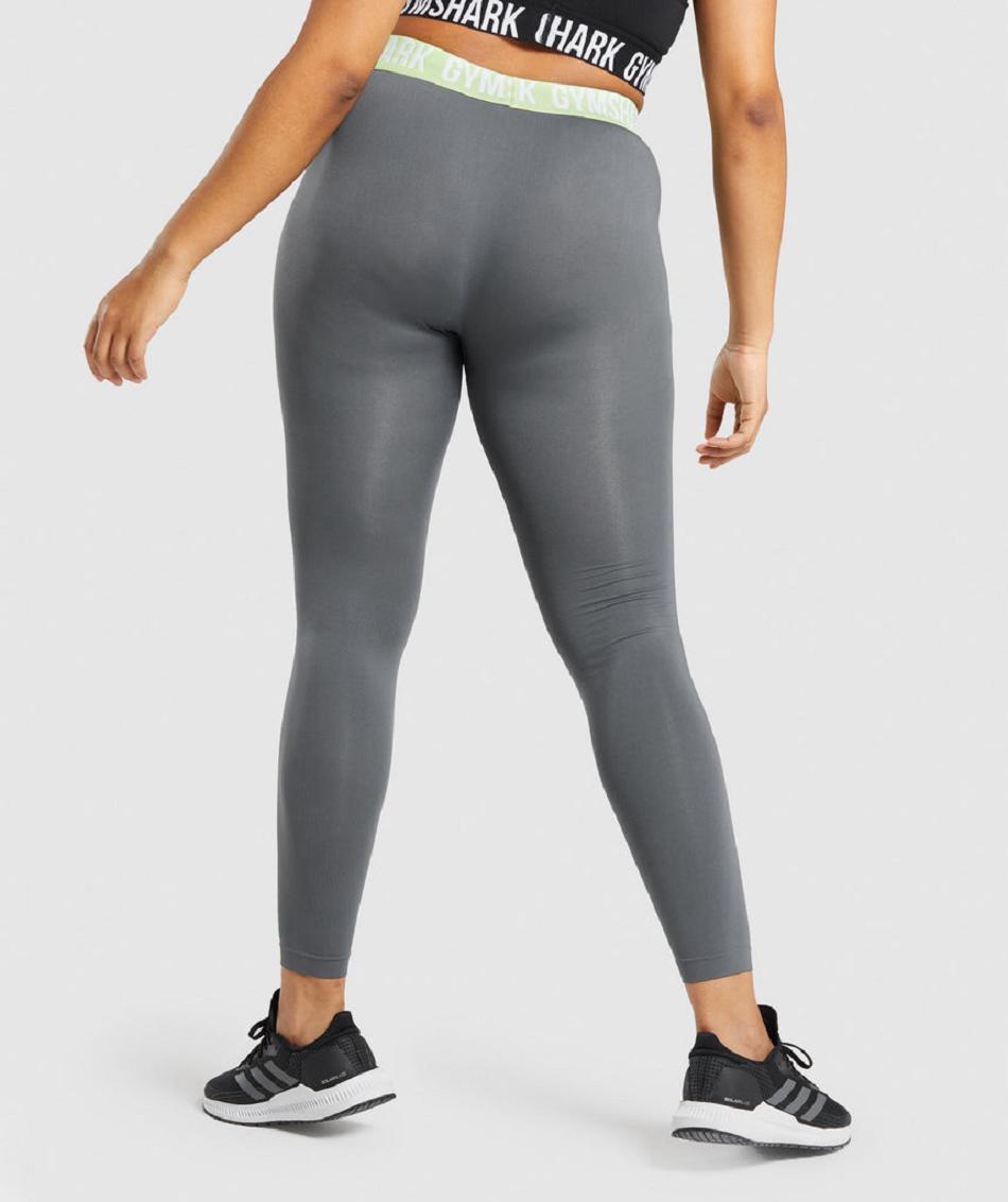 Leggins Gymshark Fit Seamless Mujer Gris | CO 2936CTV